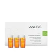 Anubis Regul Oil Concentrate Equilibr+ 6x5ml